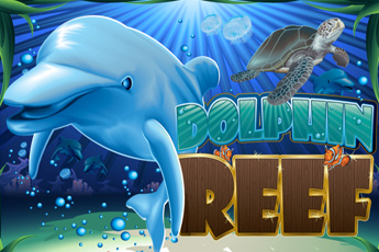 Dolphin Reef