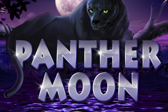 Panther Moon